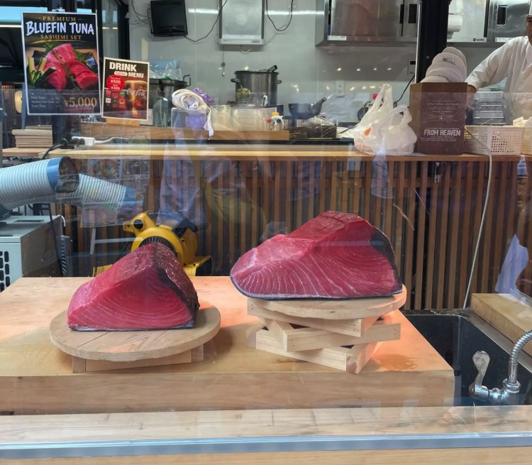Bluefin tuna loins on the block behind the glass at a Tsukiji counter
