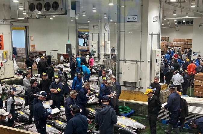 Morning Market Adventure: Toyosu & Tsukiji with Tuna Auction